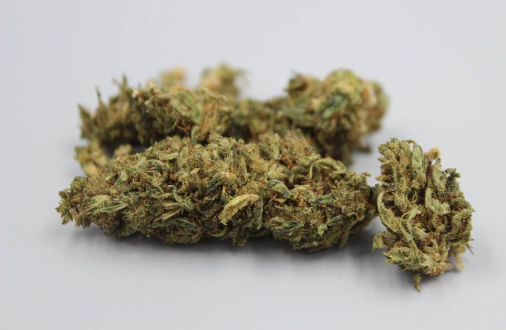 Cannabis Weed
