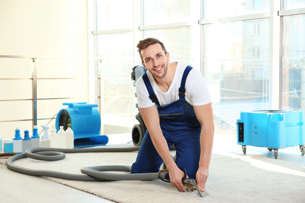 carpet cleaning maidstone